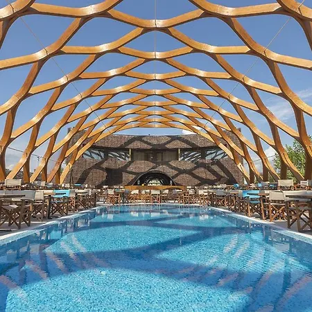 Nuba Summerland *
